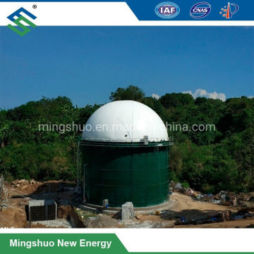 Sewage Treatment Plant Biogas Digester Bioreactor